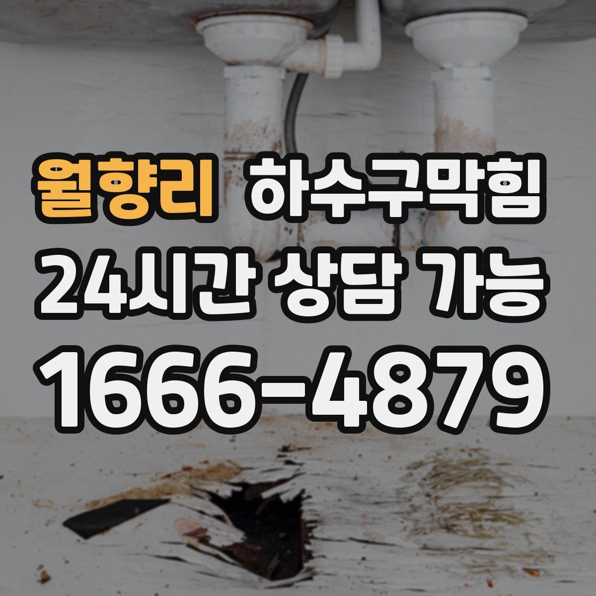 월향리 하수구막힘