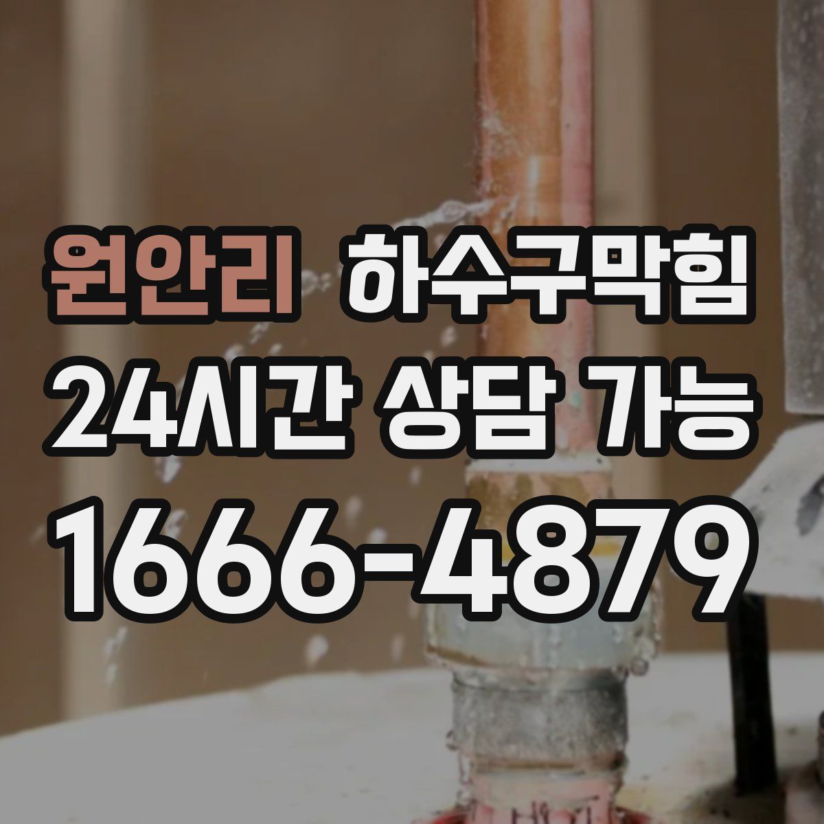 원안리 하수구막힘