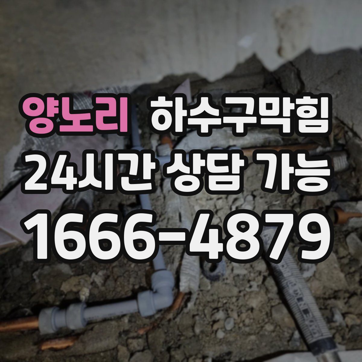 양노리 하수구막힘