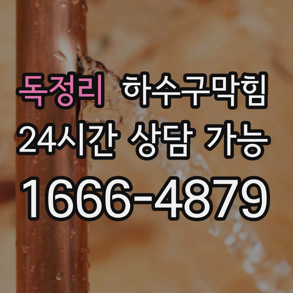 독정리 하수구막힘