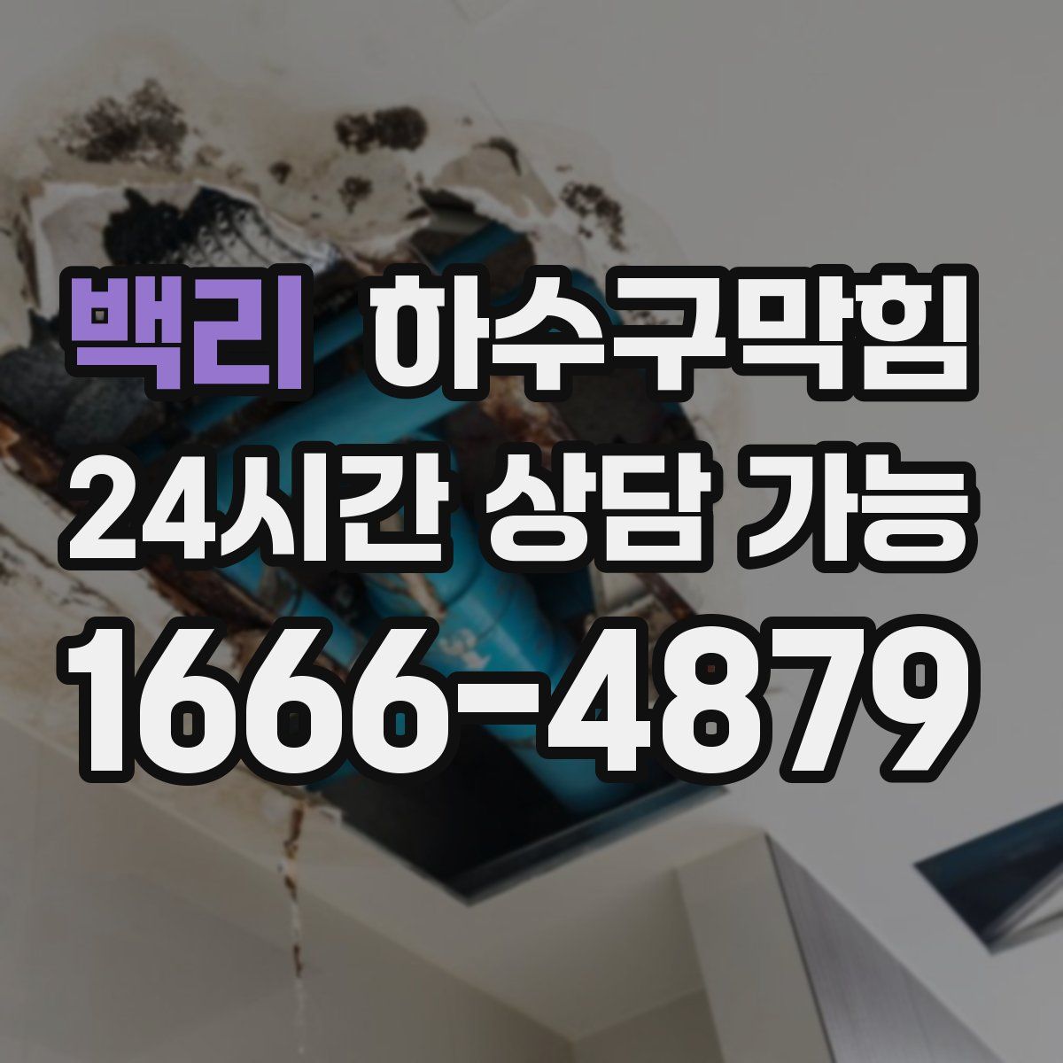 백리 하수구막힘