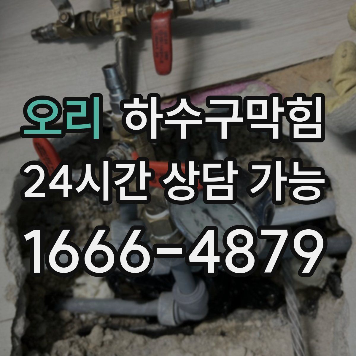 오리 하수구막힘