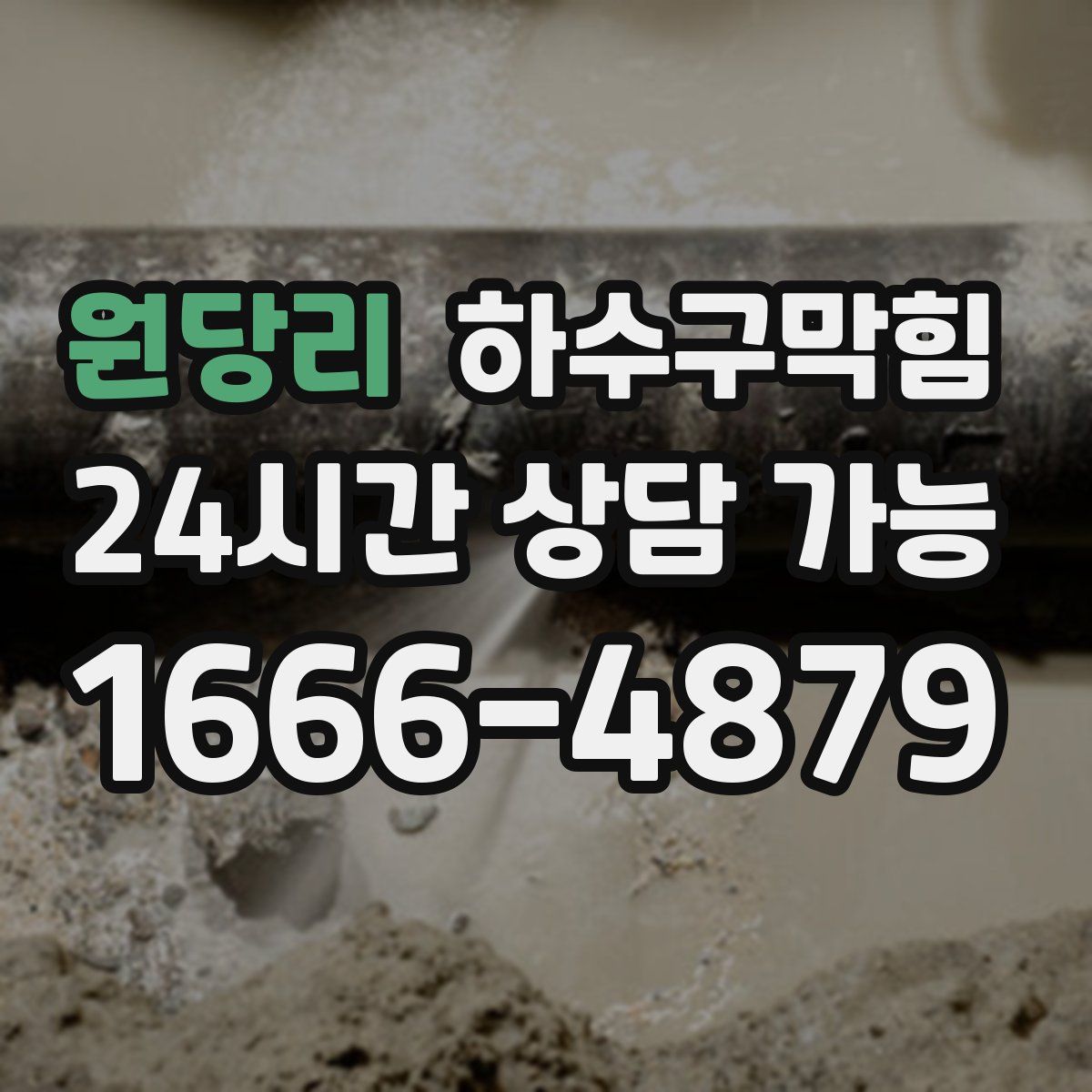 원당리 하수구막힘