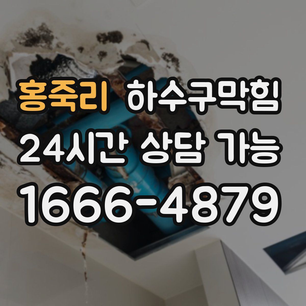 홍죽리 하수구막힘