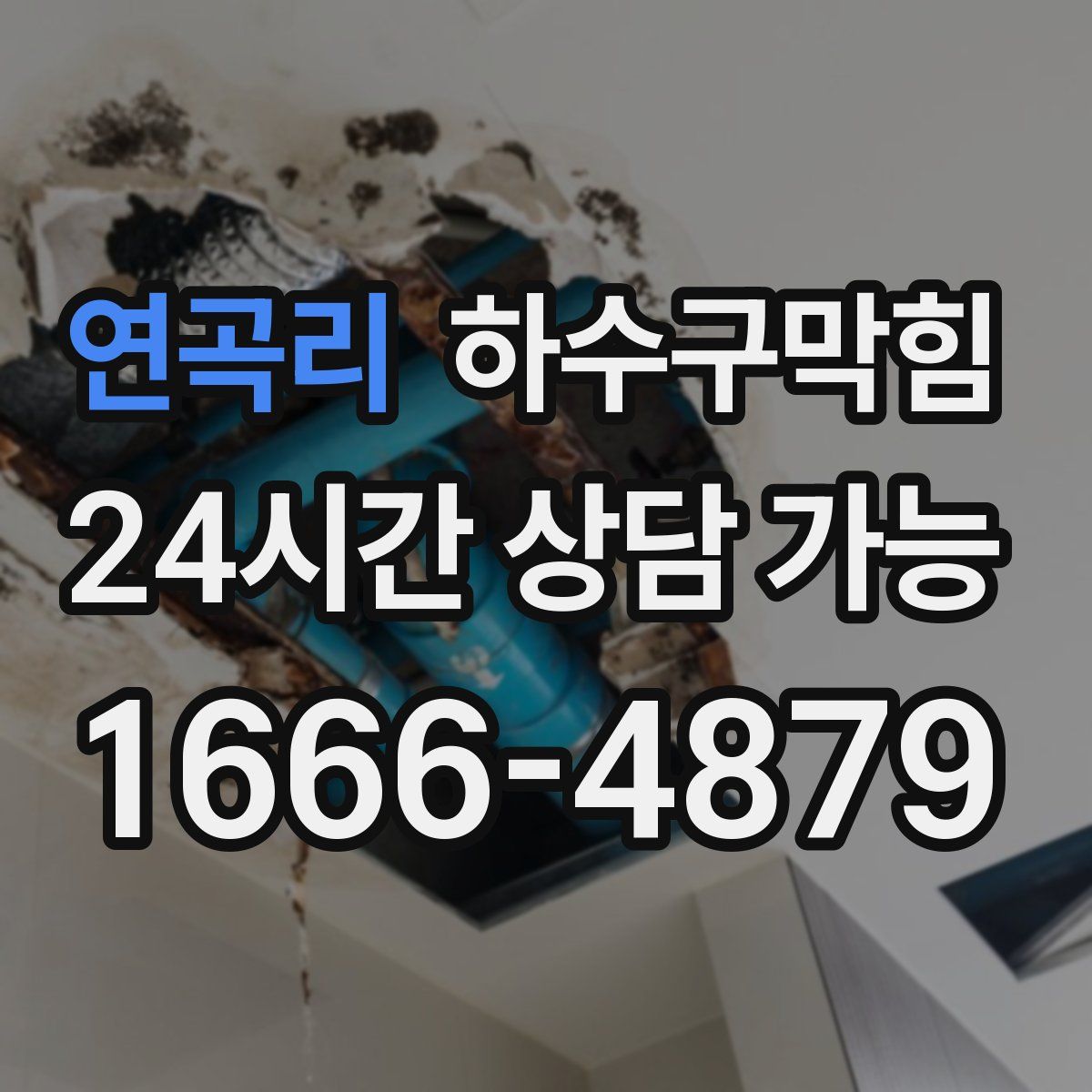 연곡리 하수구막힘