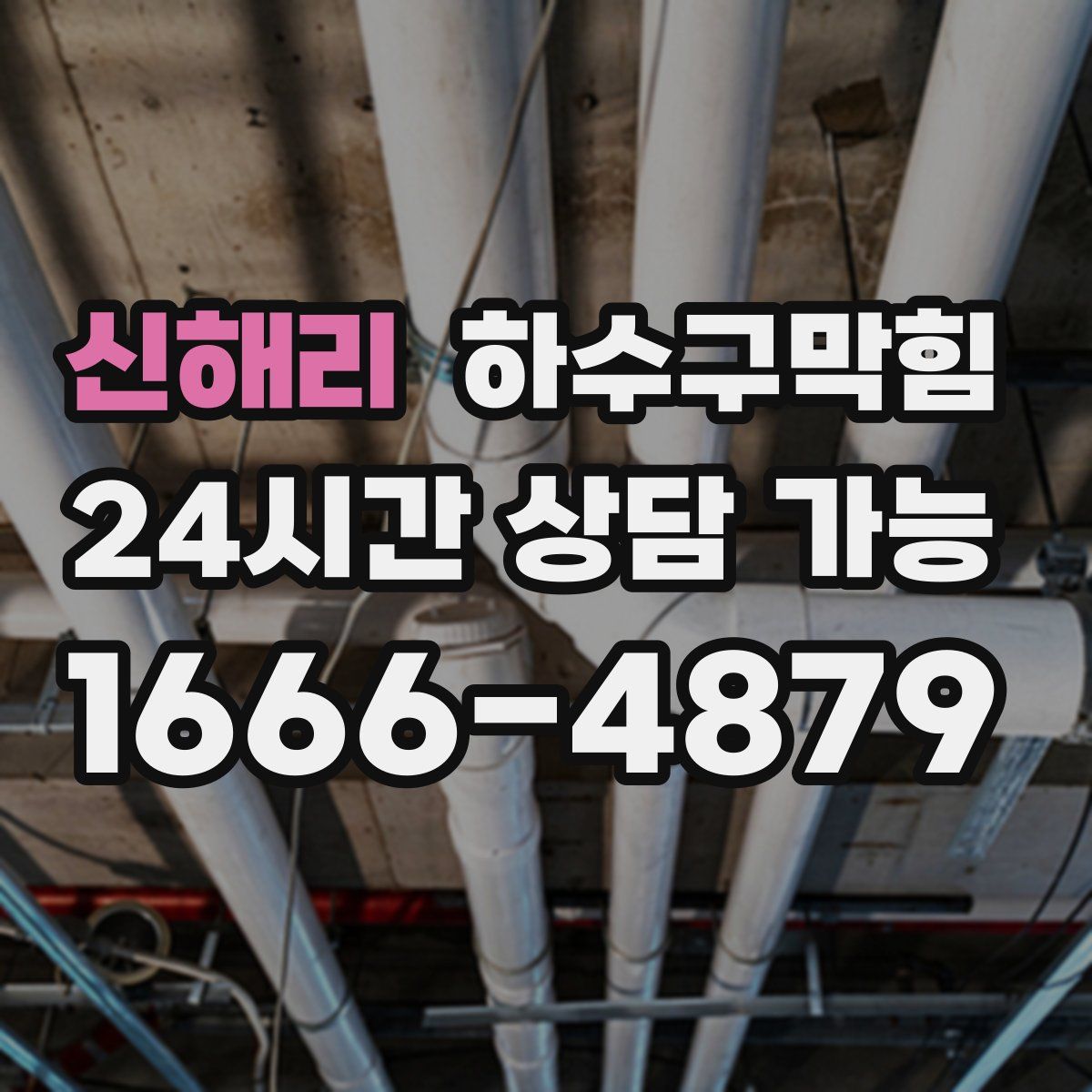 신해리 하수구막힘