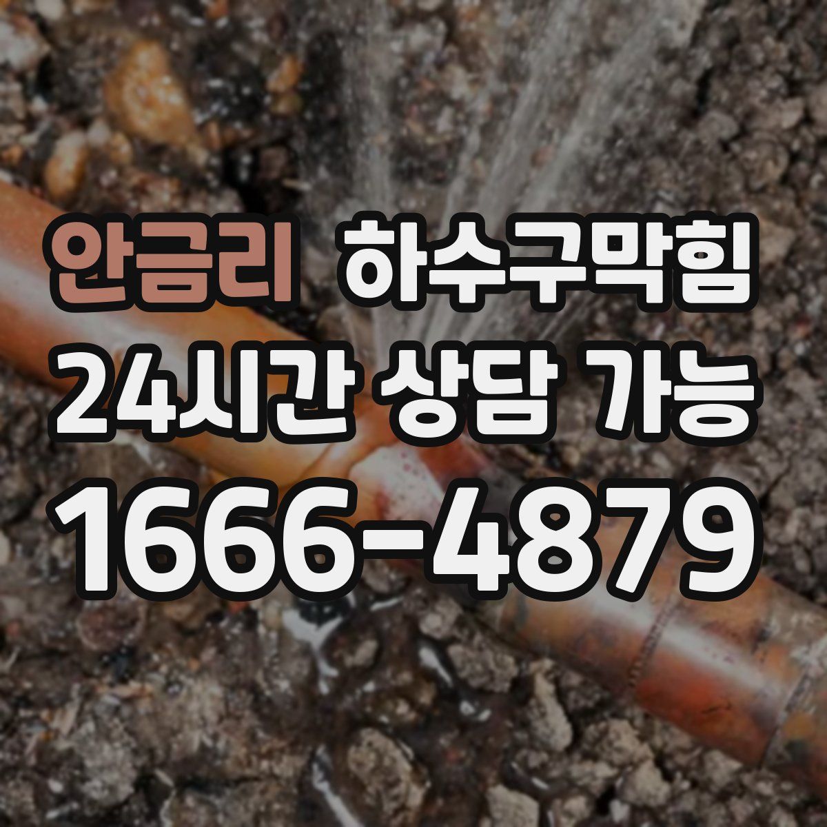 안금리 하수구막힘