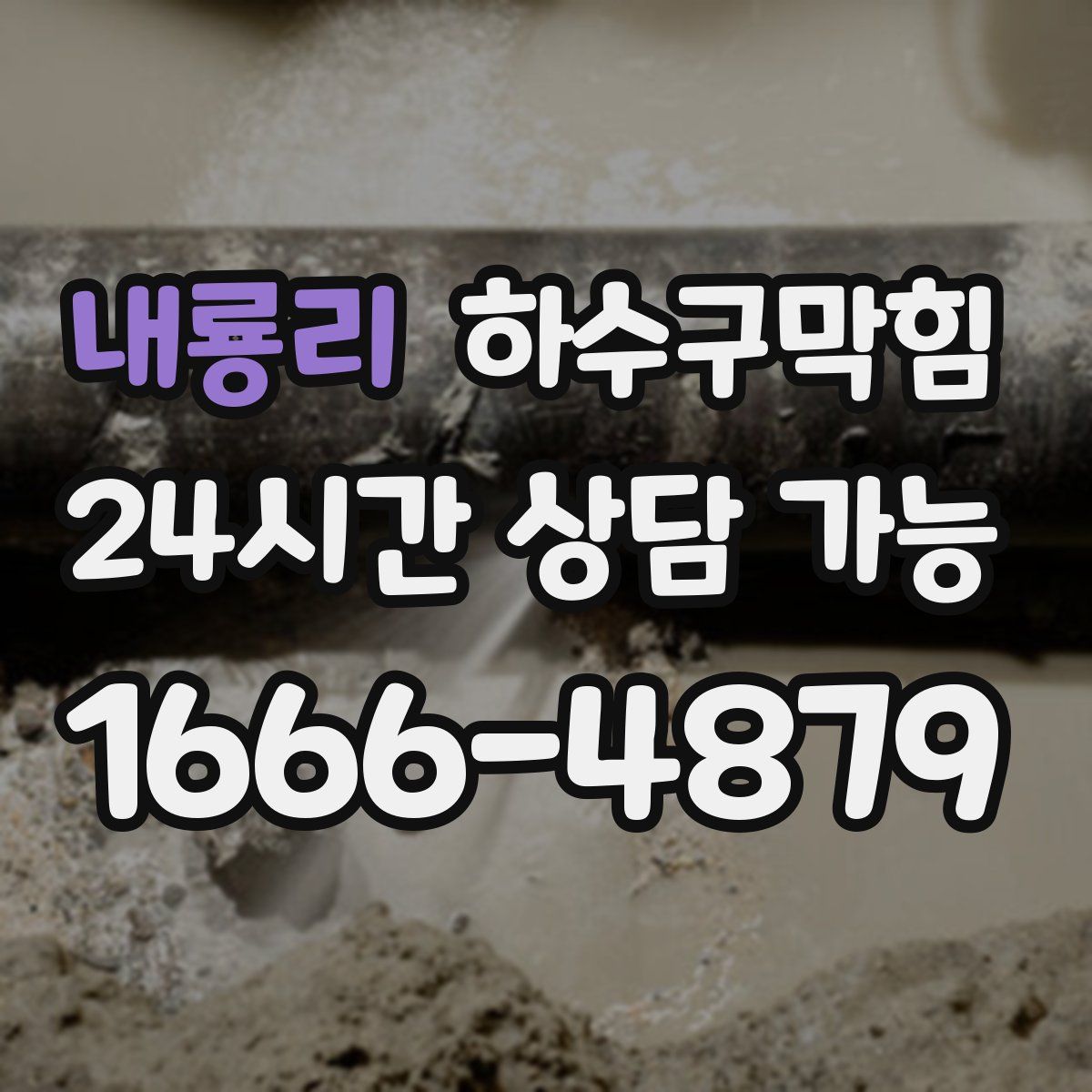 내룡리 하수구막힘