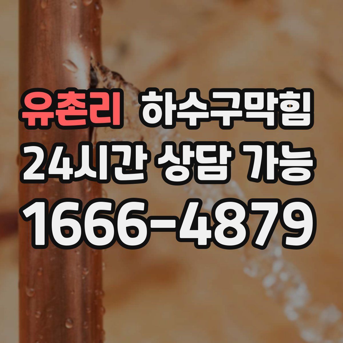 유촌리 하수구막힘