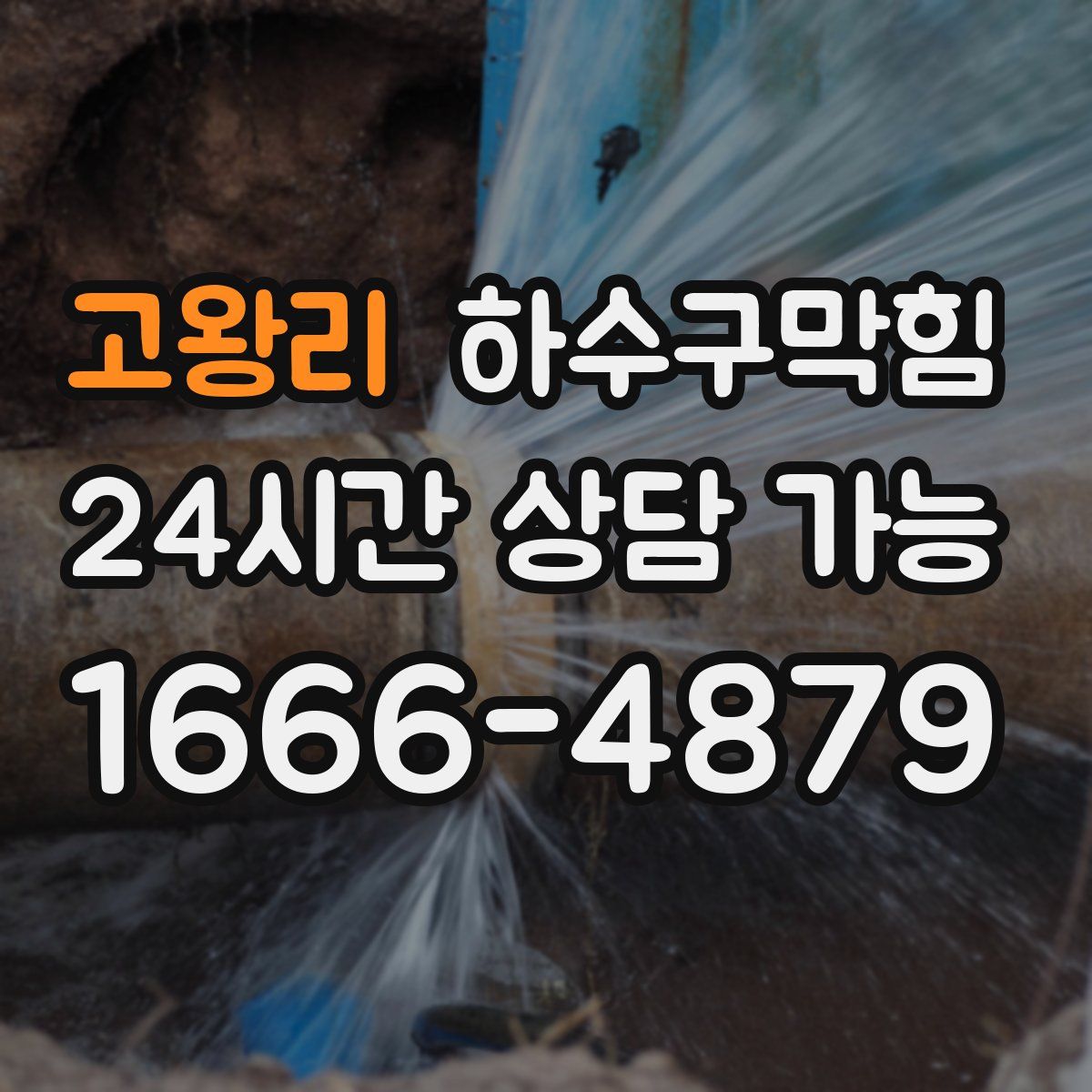 고왕리 하수구막힘