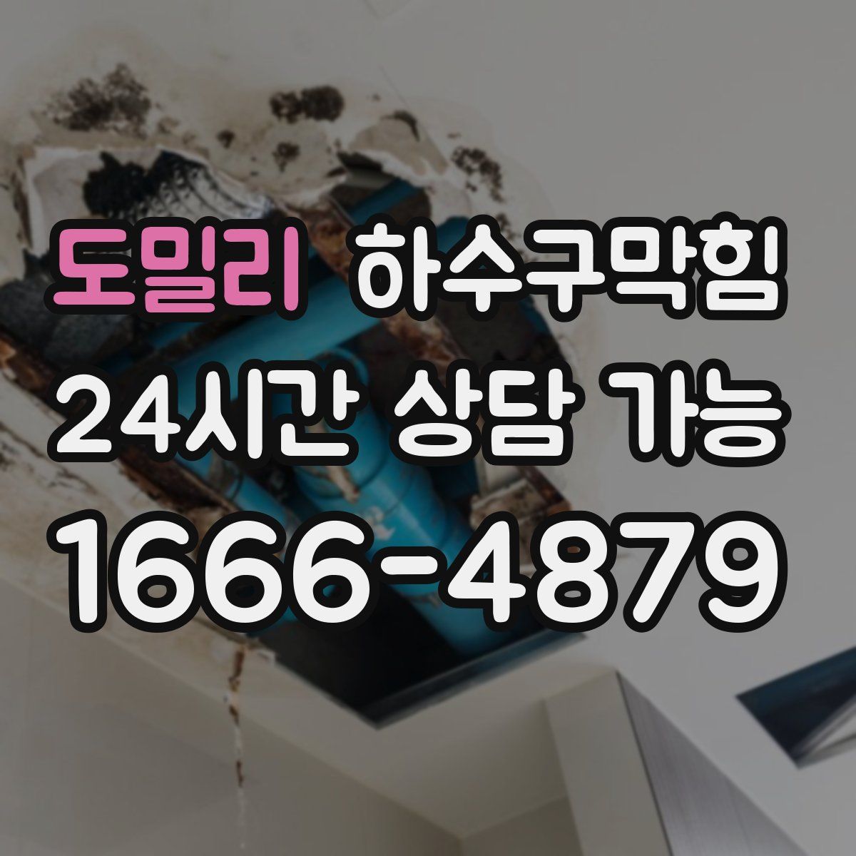 도밀리 하수구막힘