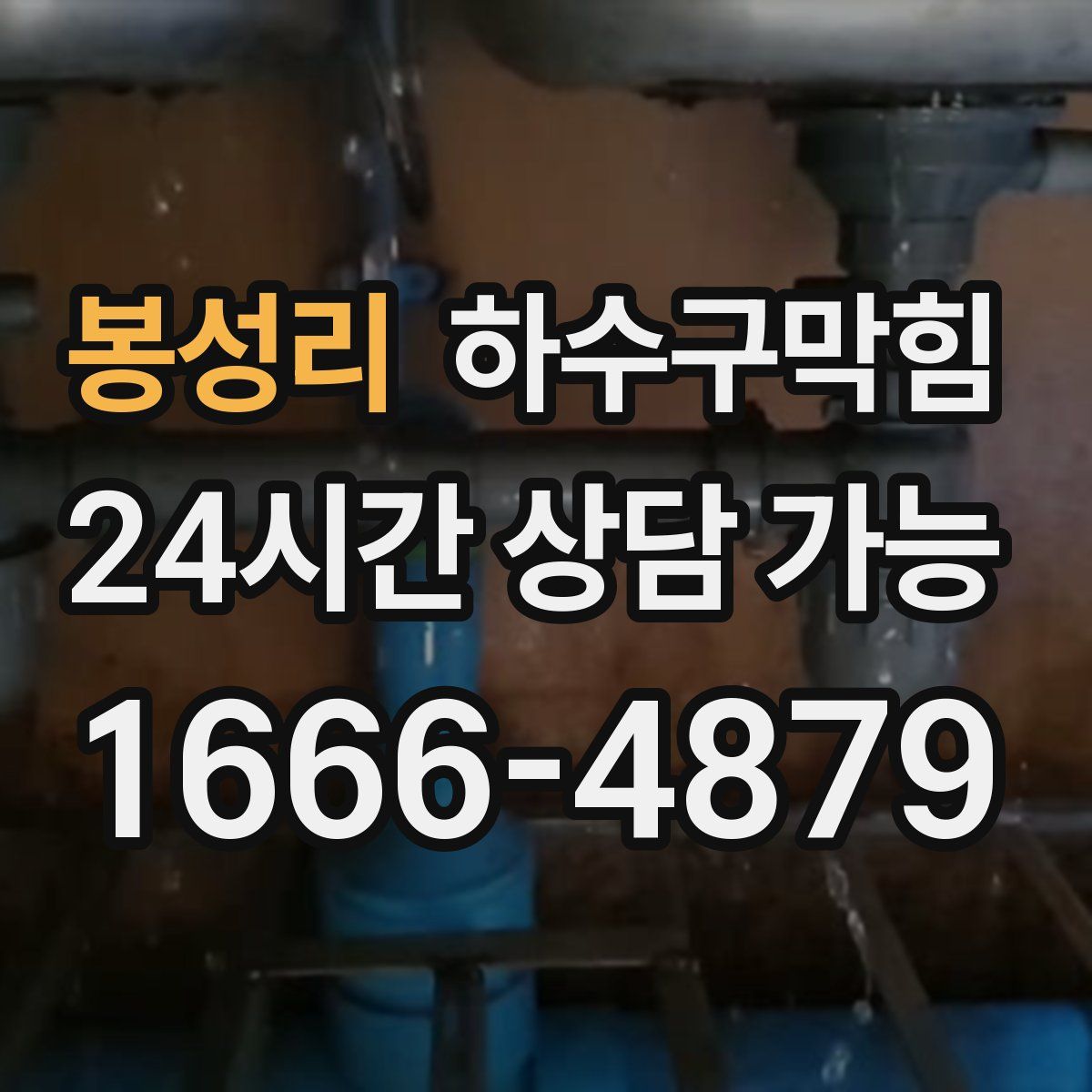 봉성리 하수구막힘