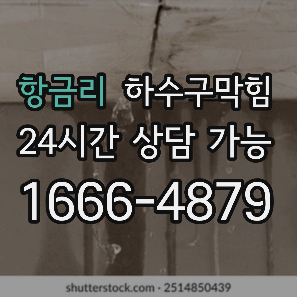 항금리 하수구막힘