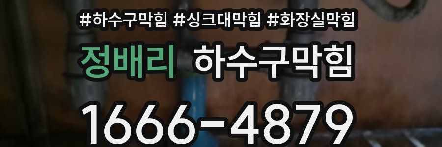 하수구막힘
