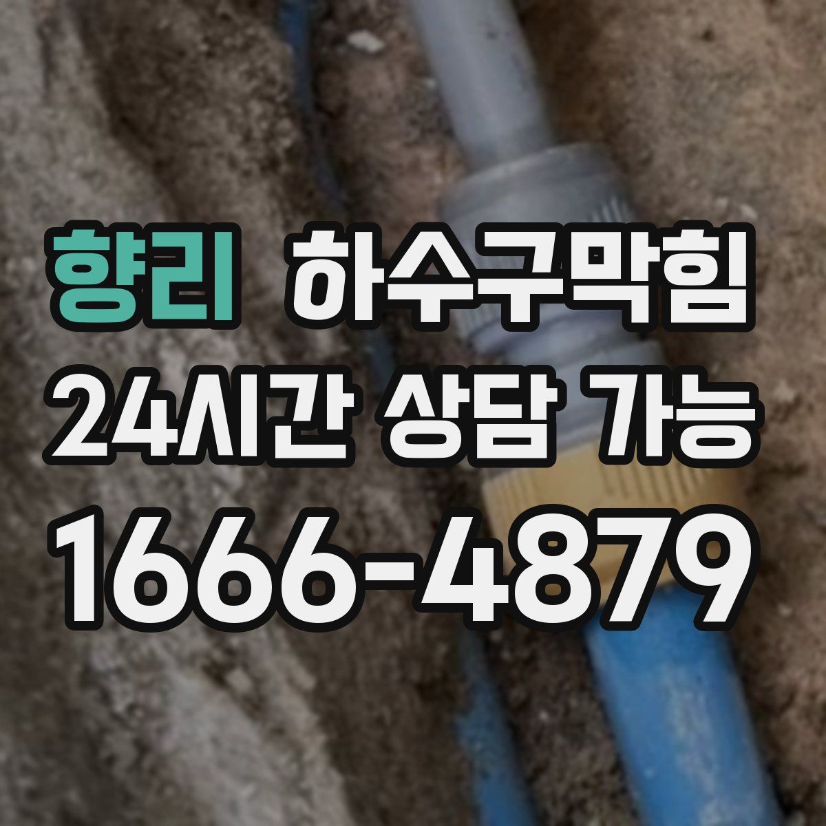 향리 하수구막힘