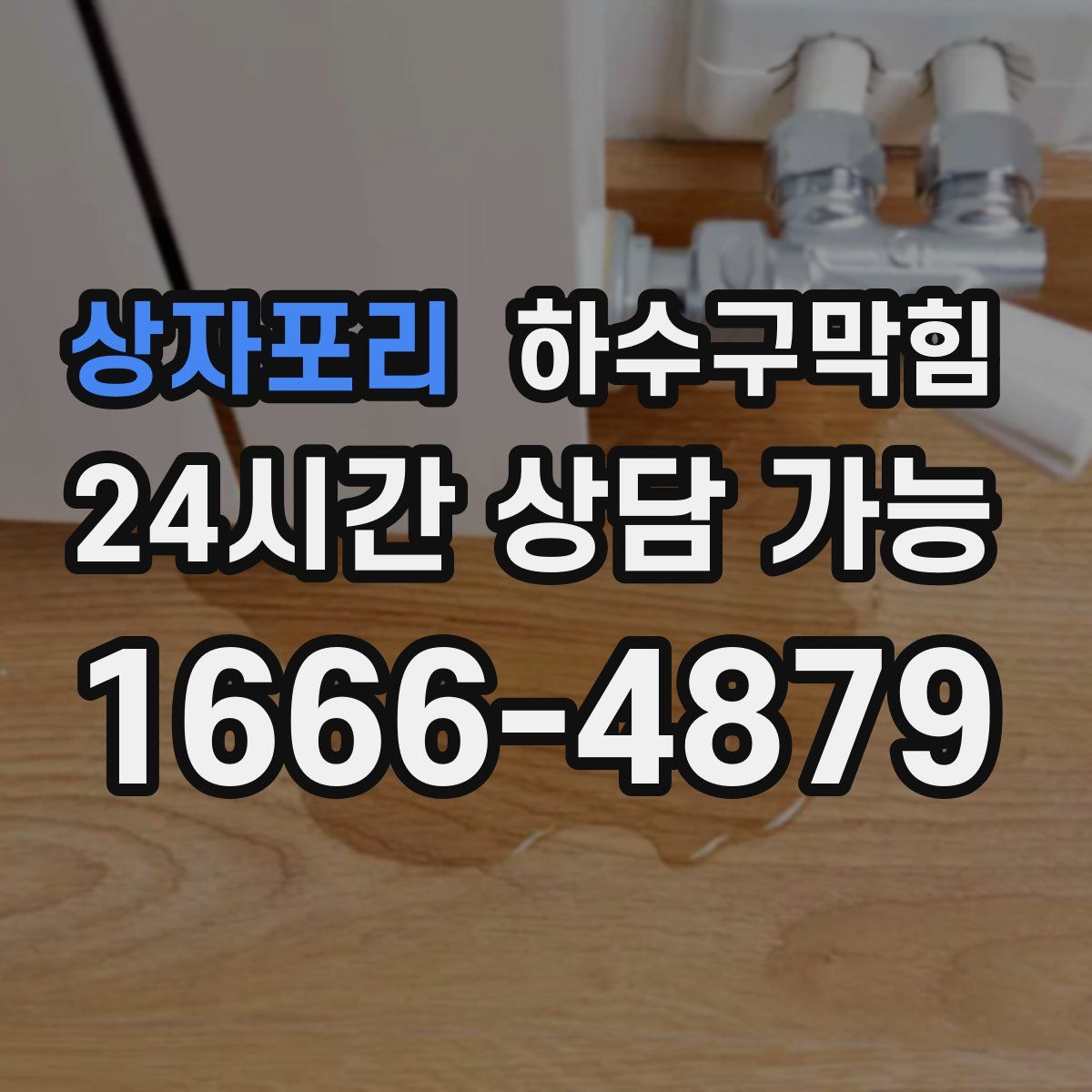 상자포리 하수구막힘