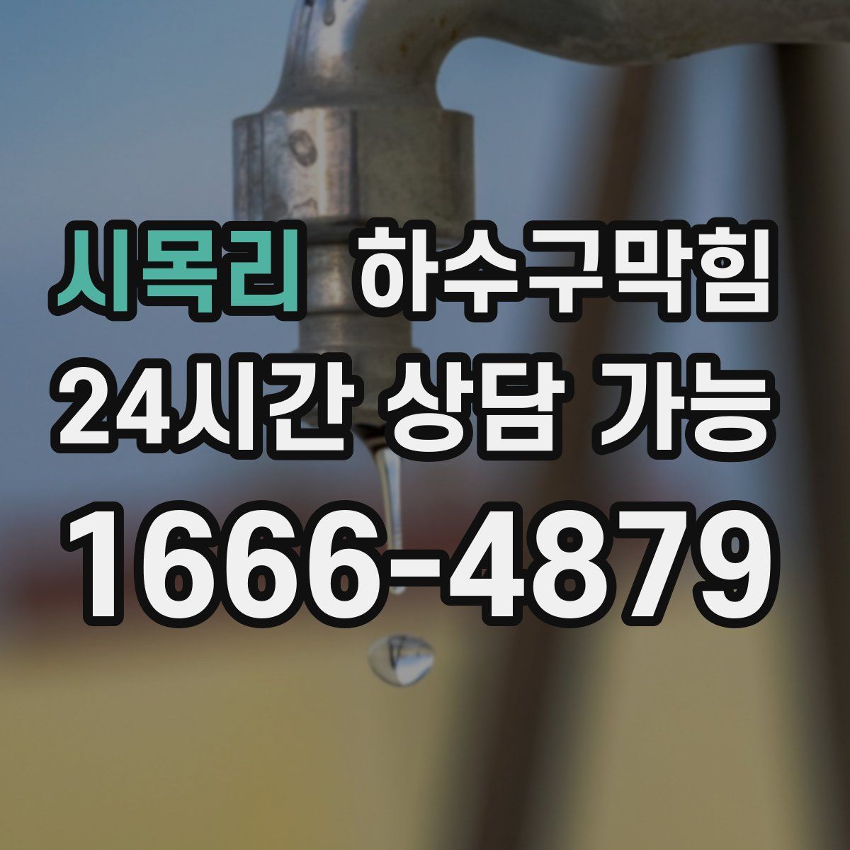 시목리 하수구막힘