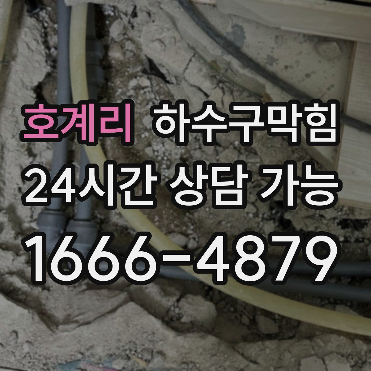 호계리 하수구막힘