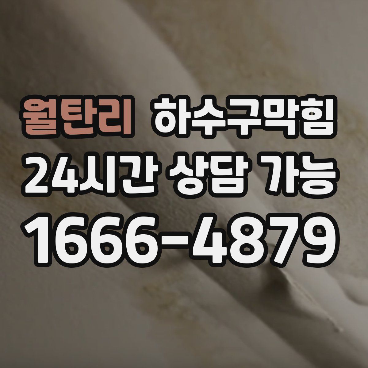 월탄리 하수구막힘