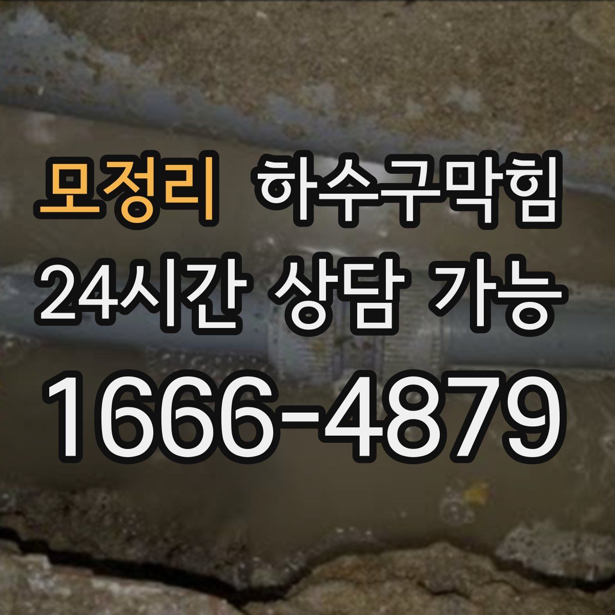 모정리 하수구막힘