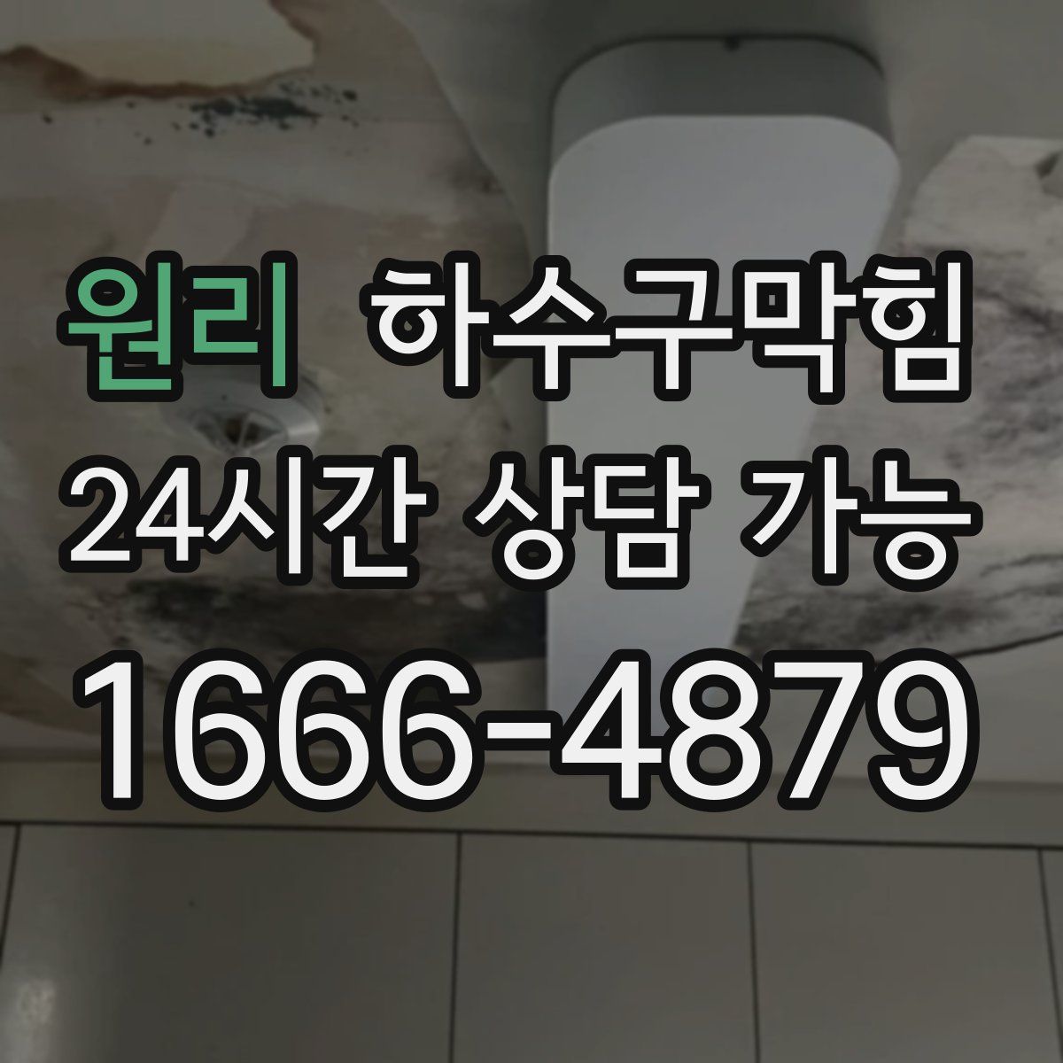 원리 하수구막힘