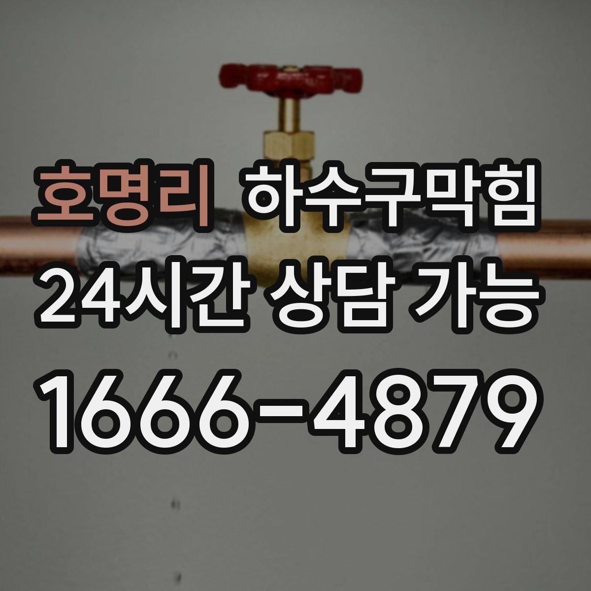 호명리 하수구막힘