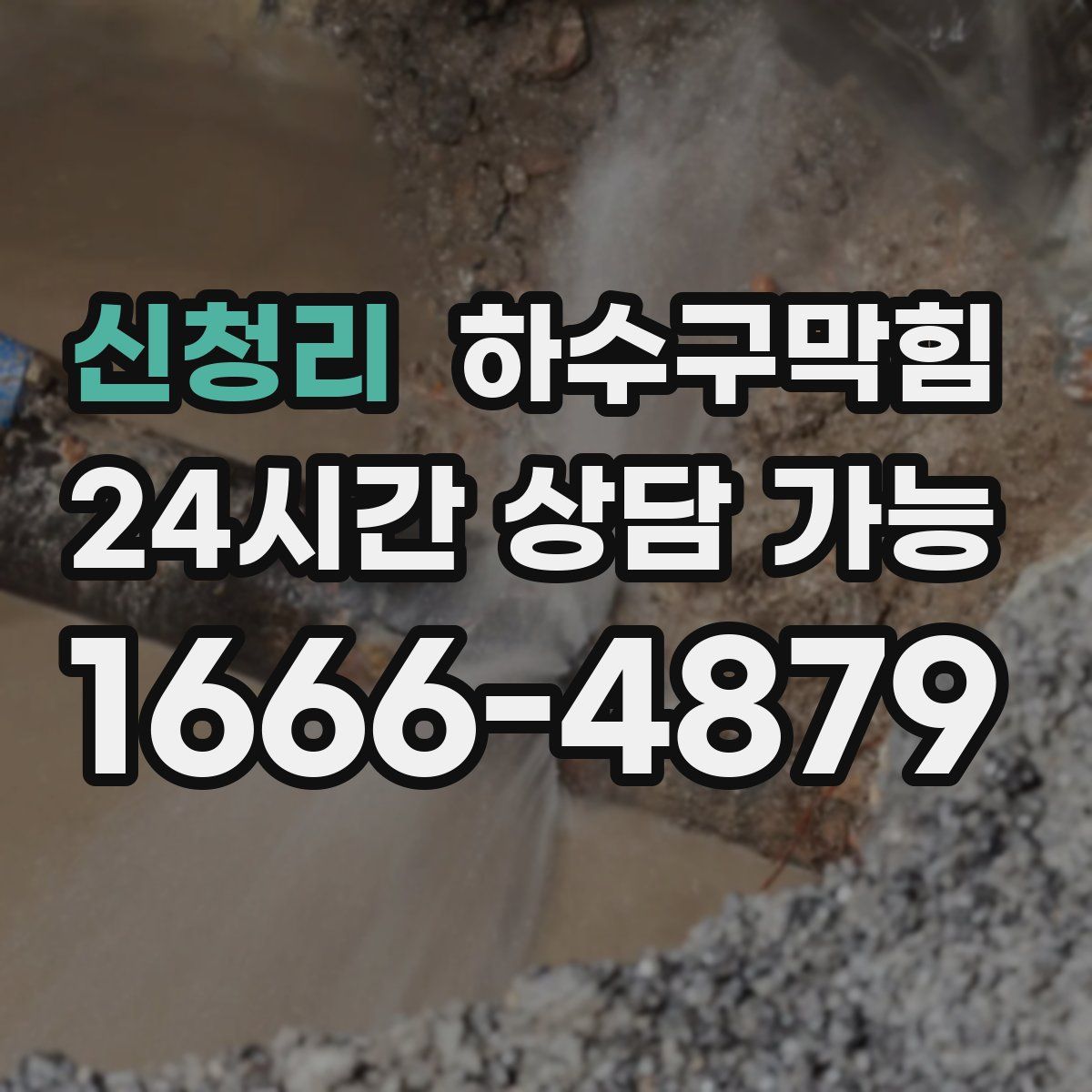 신청리 하수구막힘