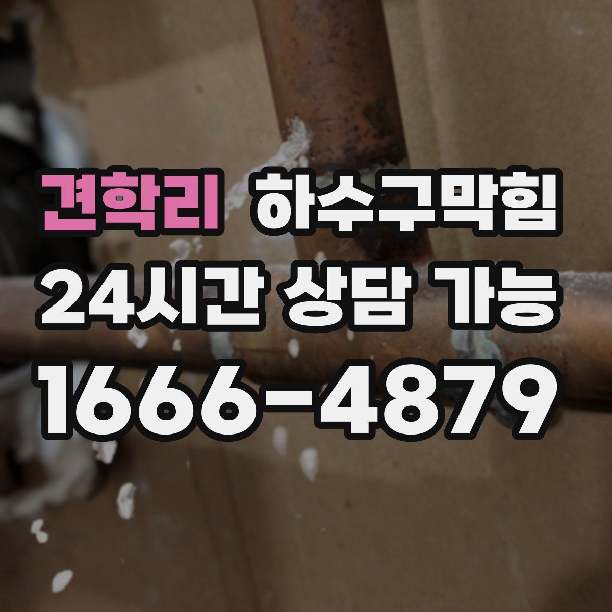 견학리 하수구막힘