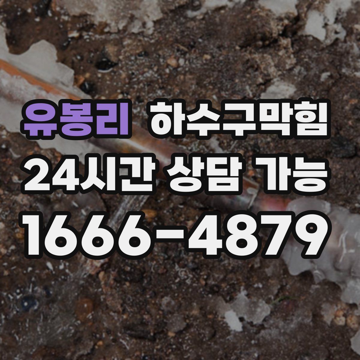 유봉리 하수구막힘