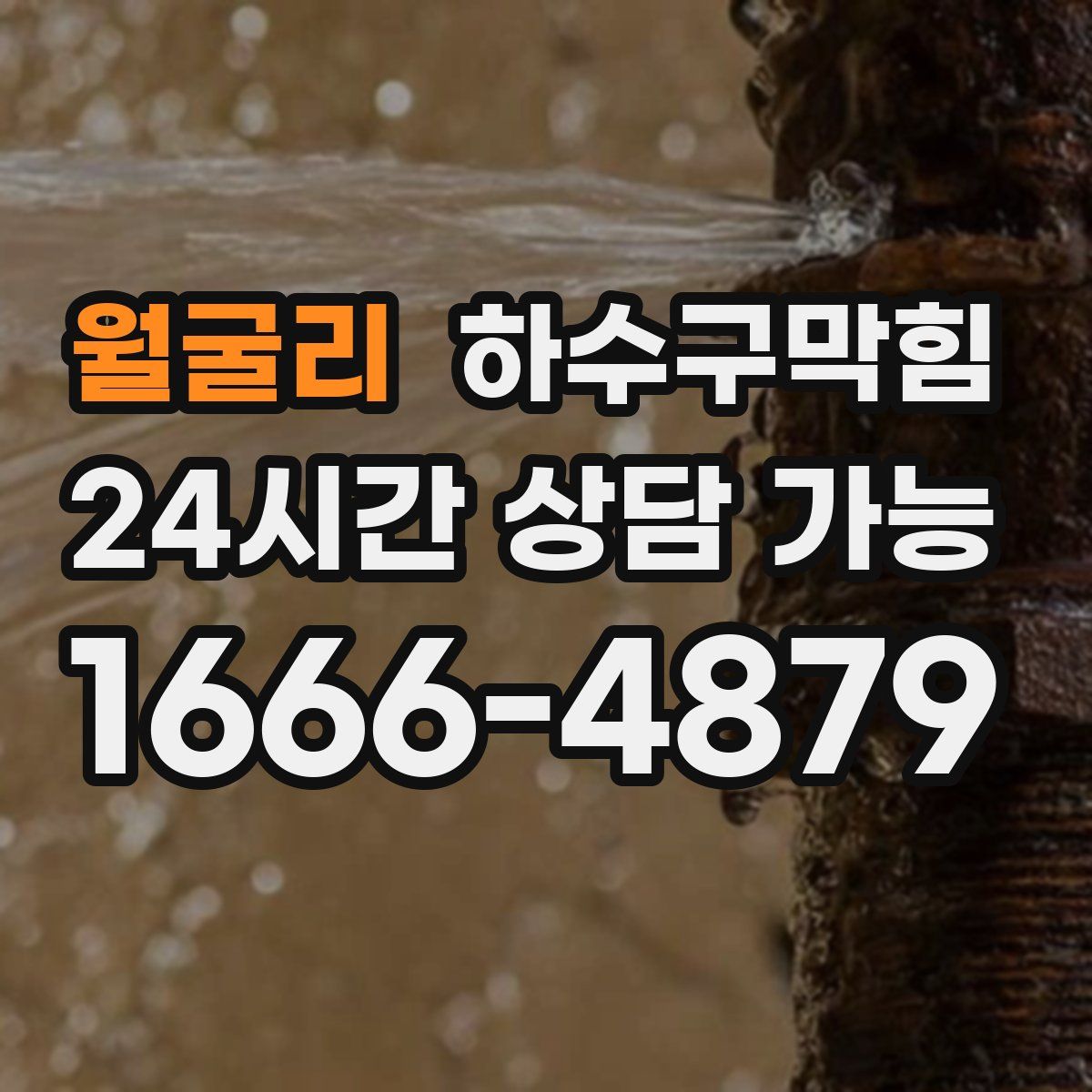 월굴리 하수구막힘