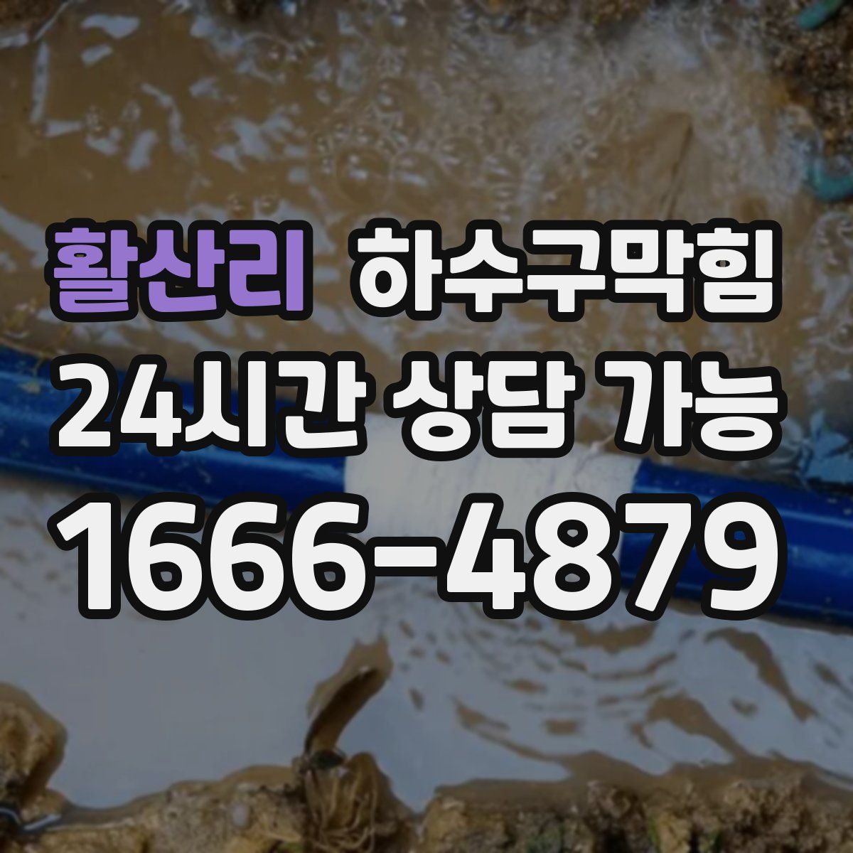 활산리 하수구막힘