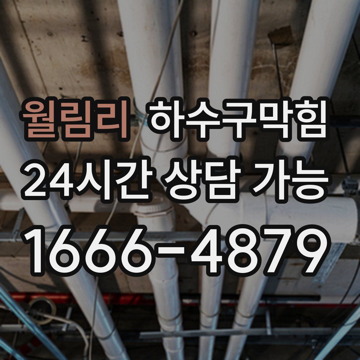 월림리 하수구막힘