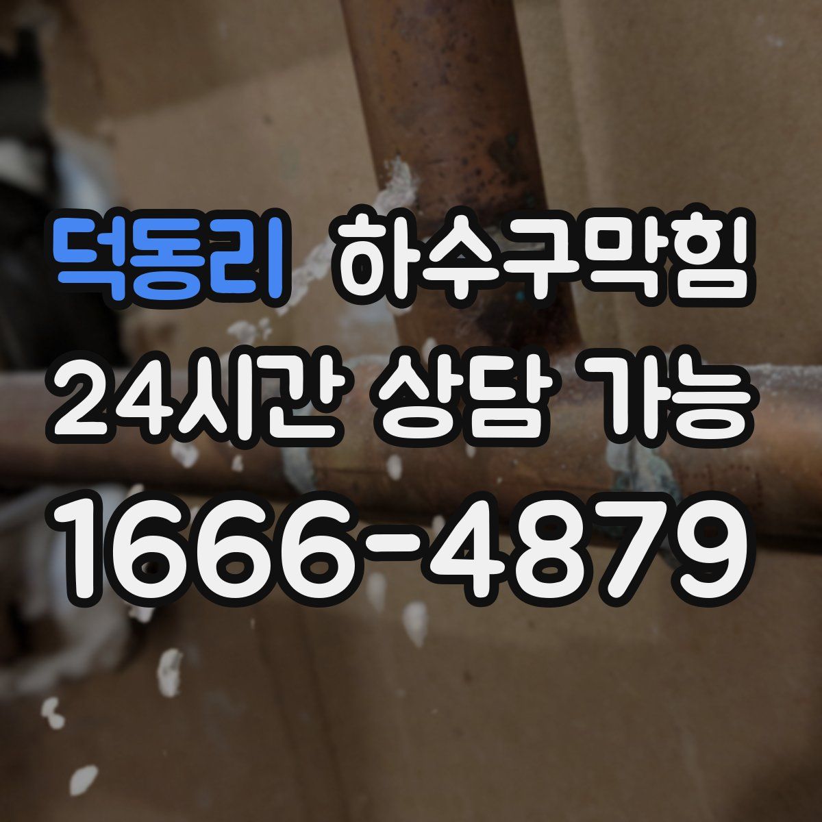 덕동리 하수구막힘