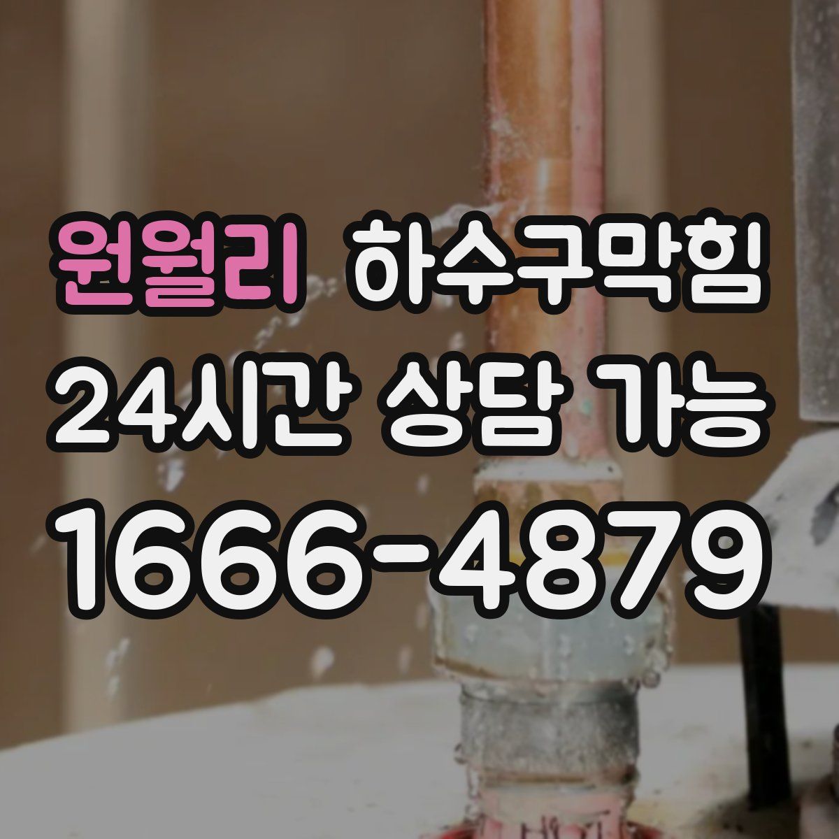 원월리 하수구막힘