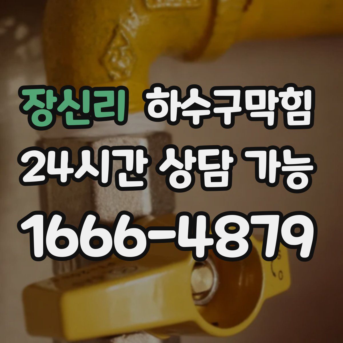 장신리 하수구막힘