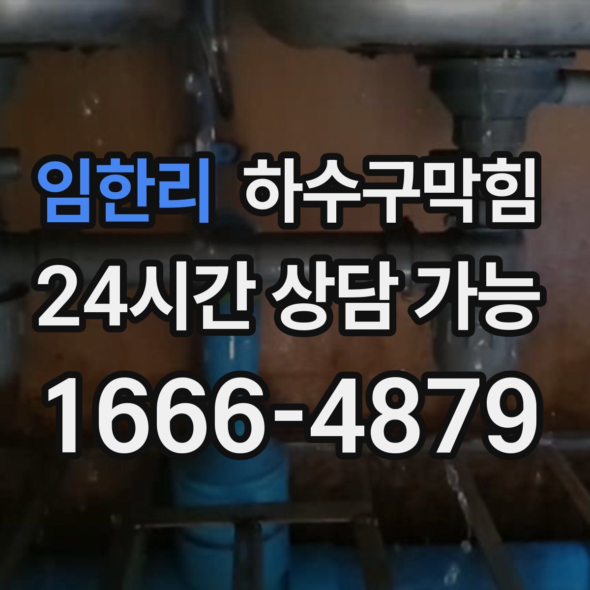 임한리 하수구막힘