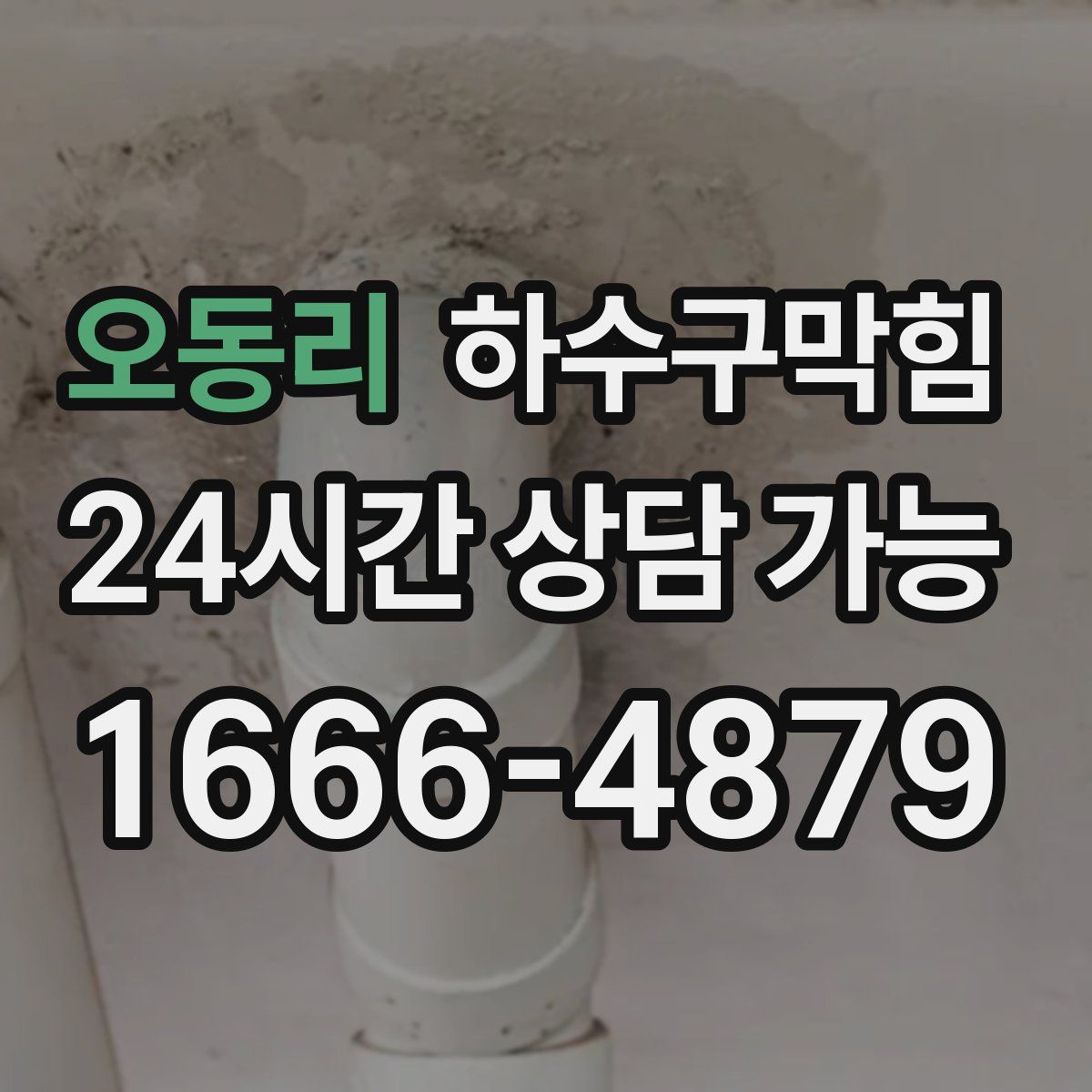 오동리 하수구막힘