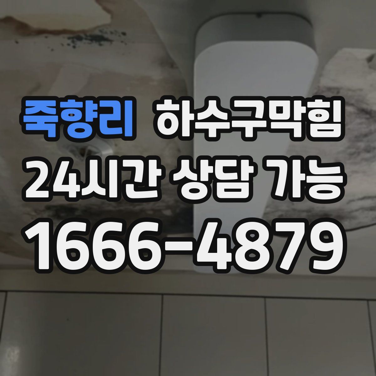 죽향리 하수구막힘