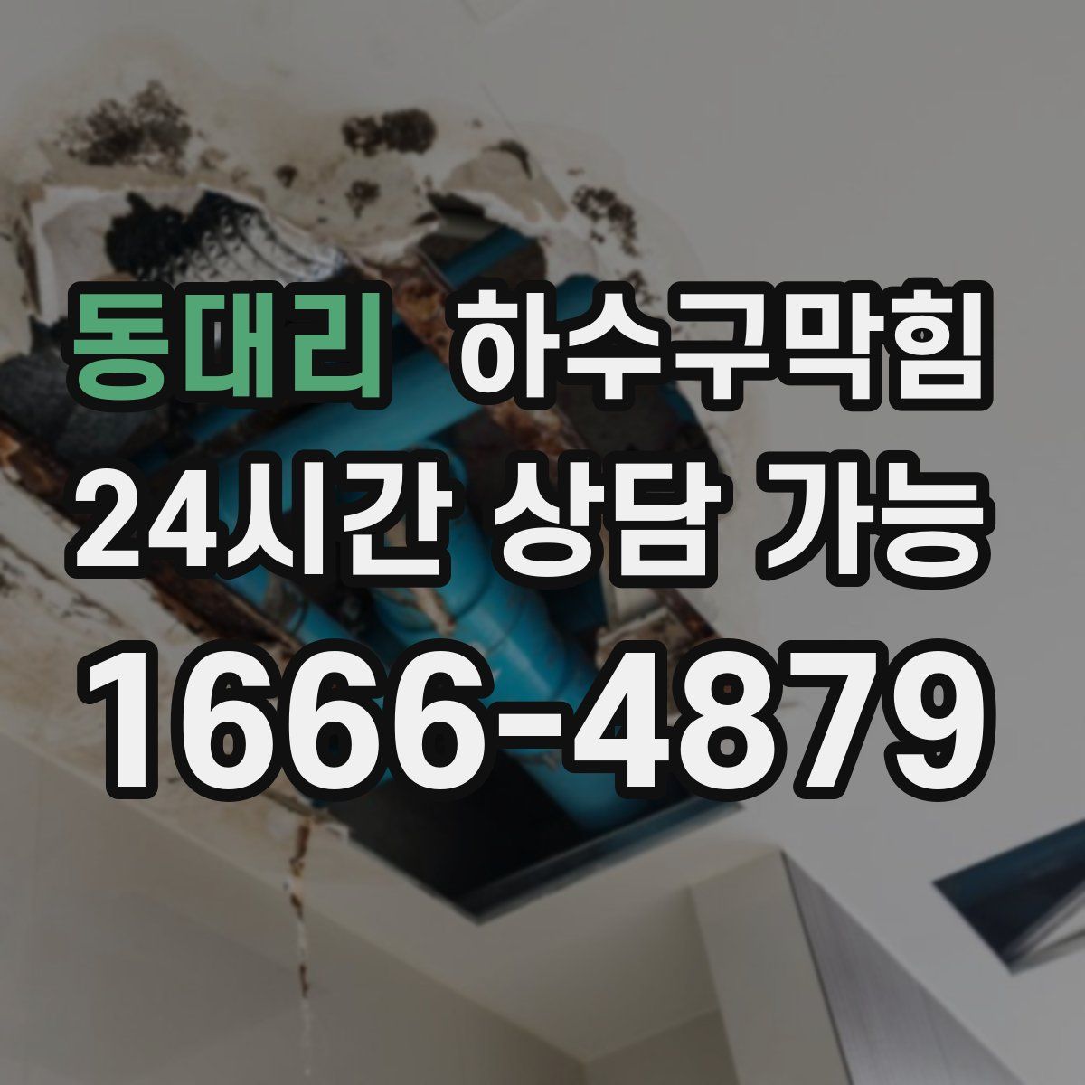 동대리 하수구막힘