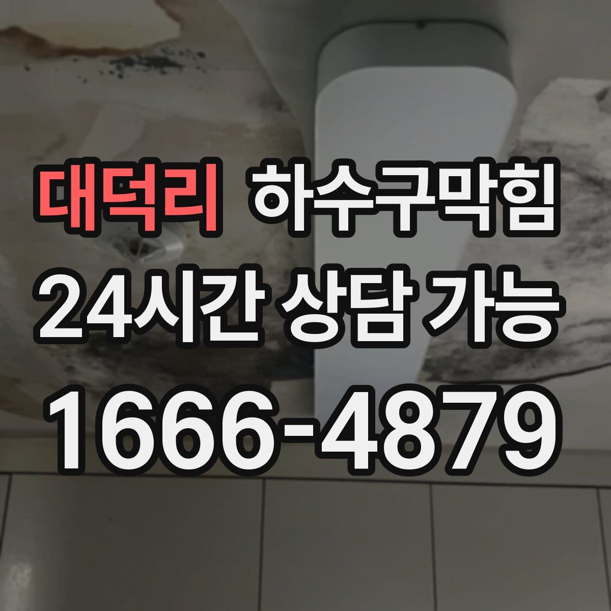 대덕리 하수구막힘