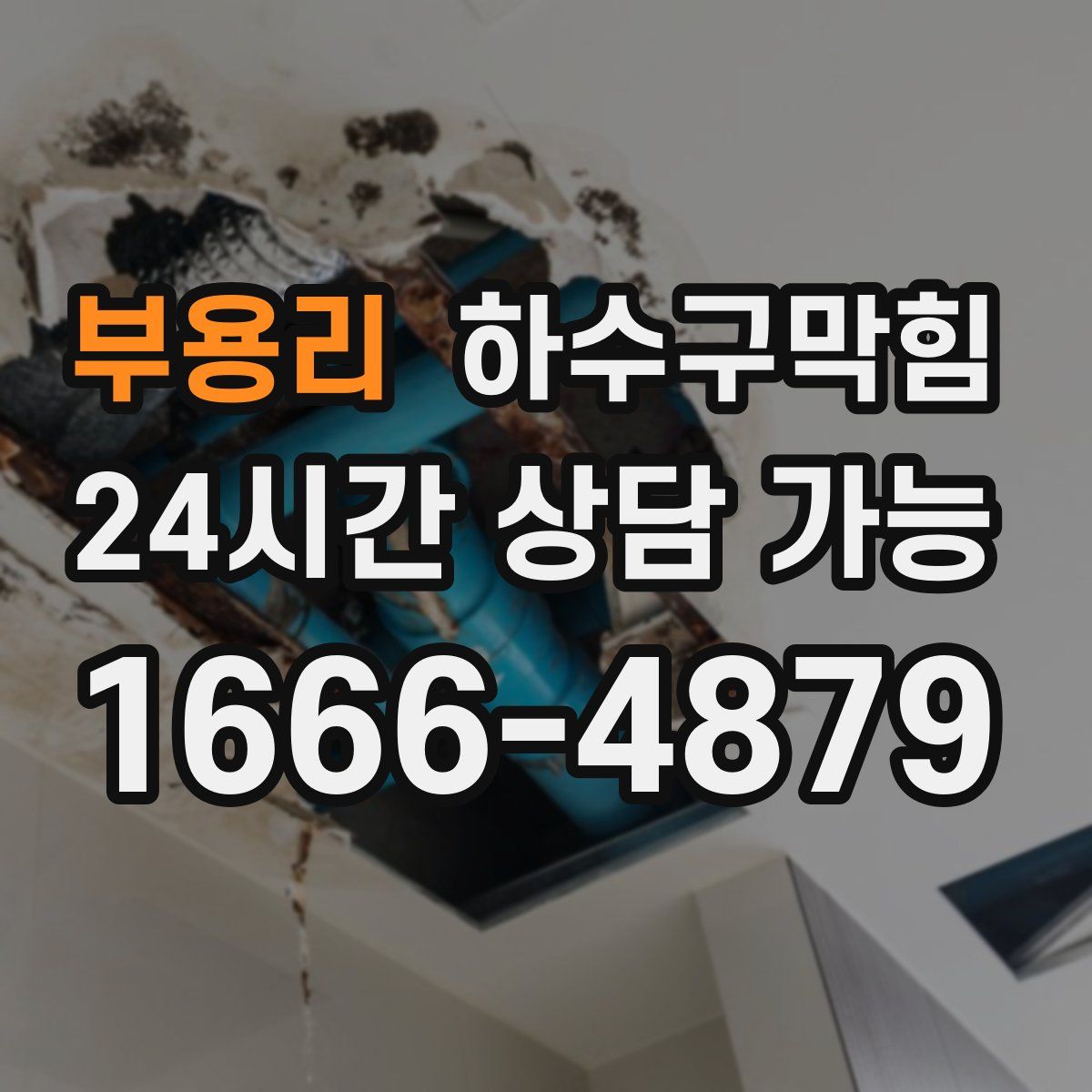 부용리 하수구막힘