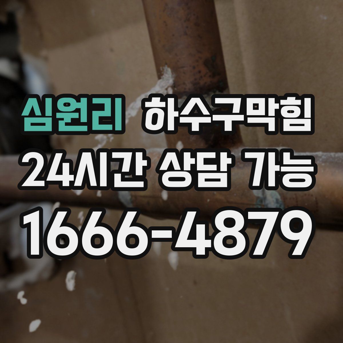 심원리 하수구막힘