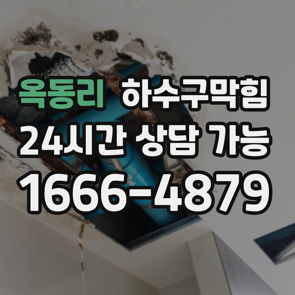 옥동리 하수구막힘