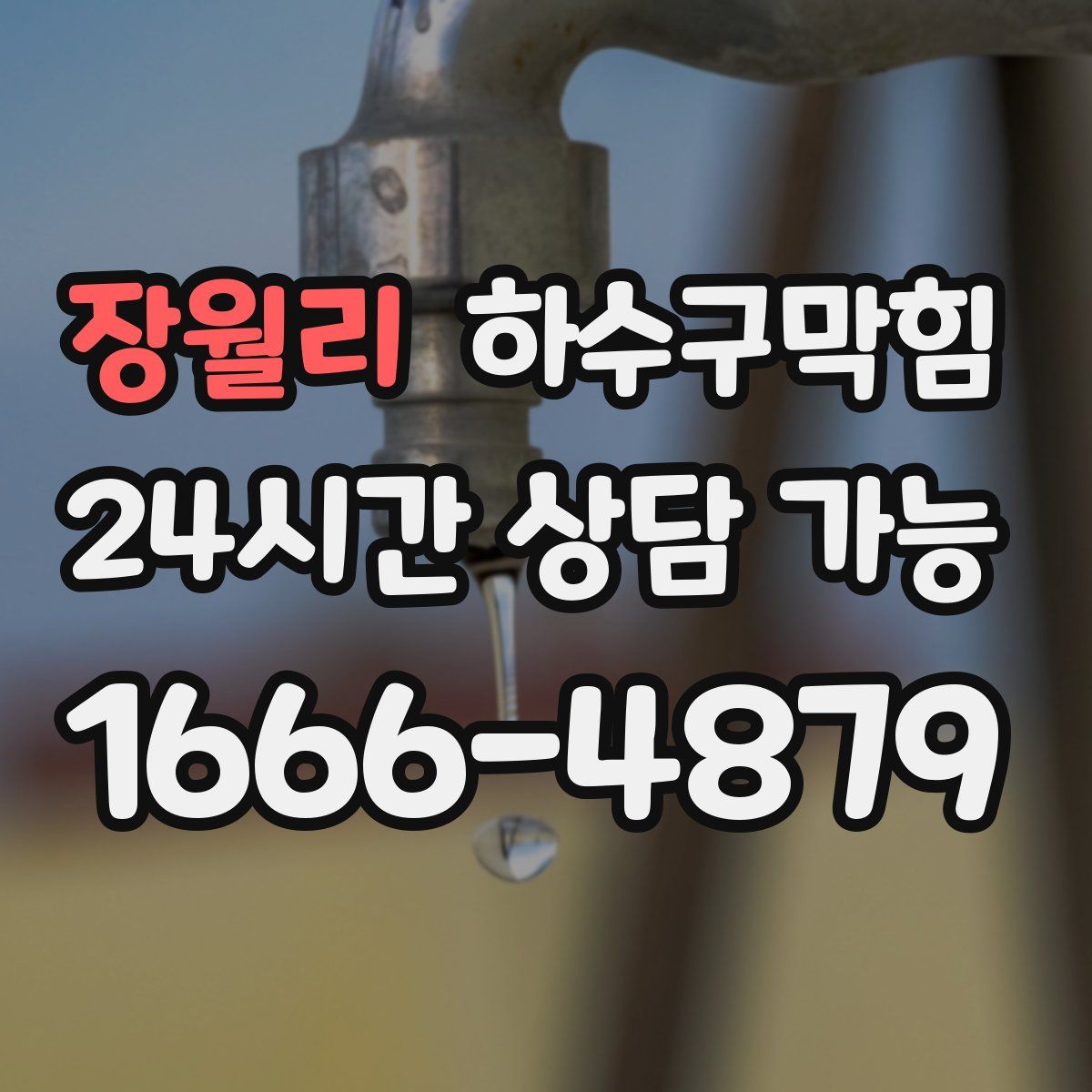 장월리 하수구막힘