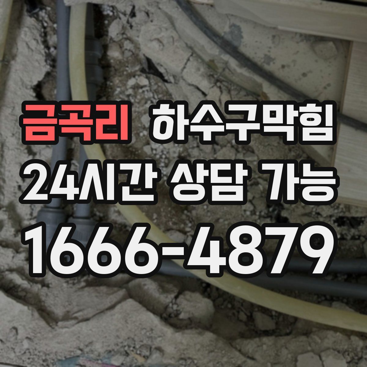 금곡리 하수구막힘