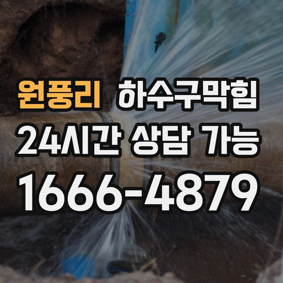 원풍리 하수구막힘