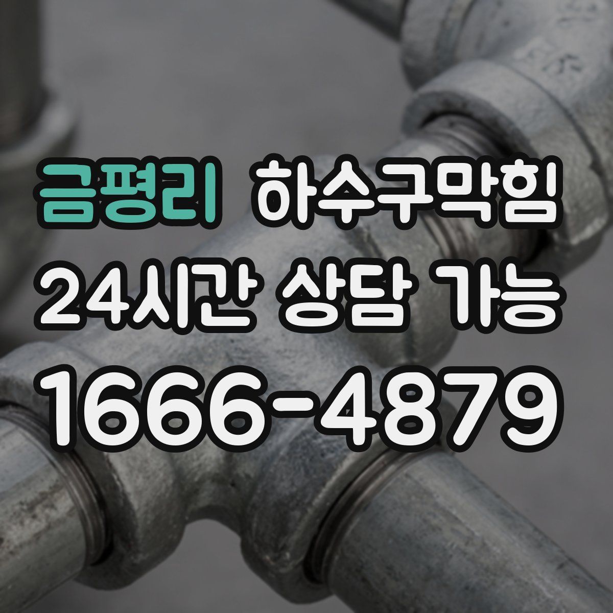 금평리 하수구막힘