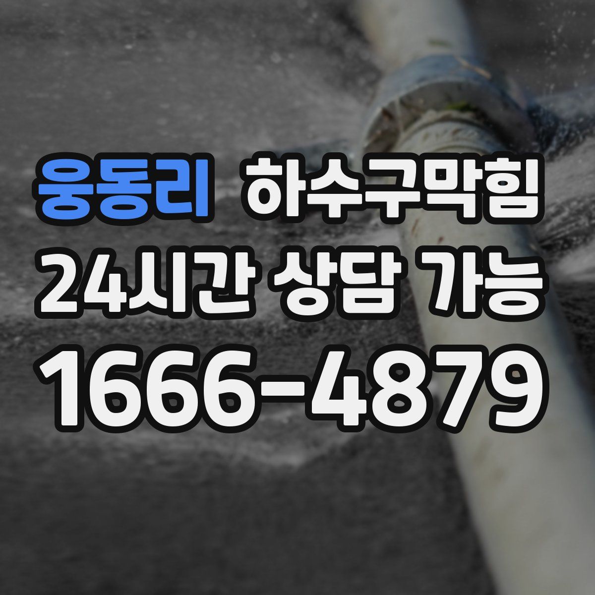 웅동리 하수구막힘