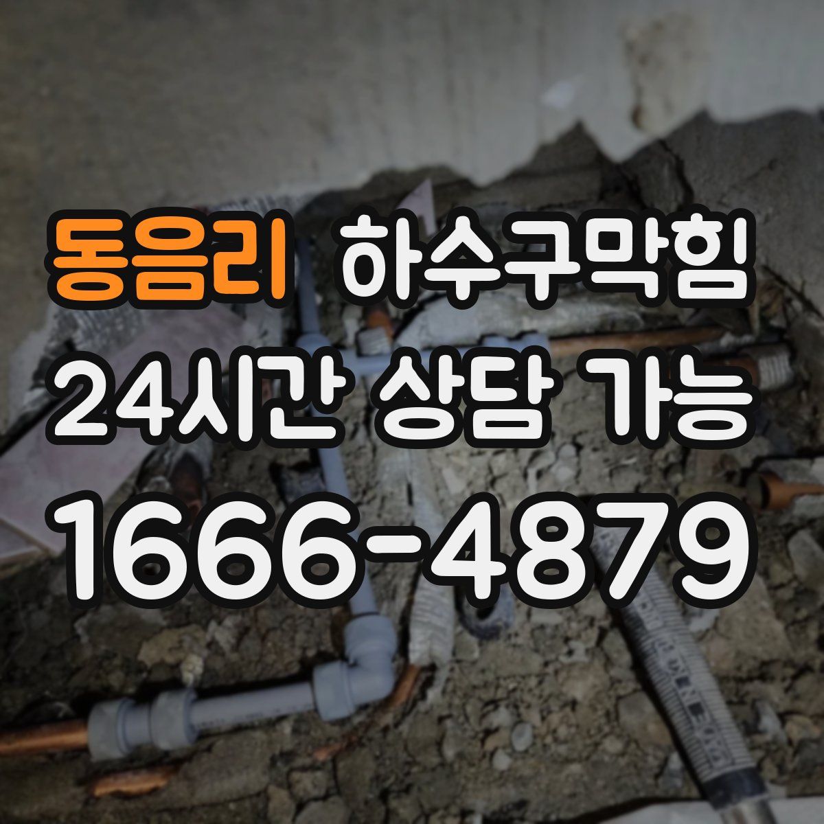 동음리 하수구막힘