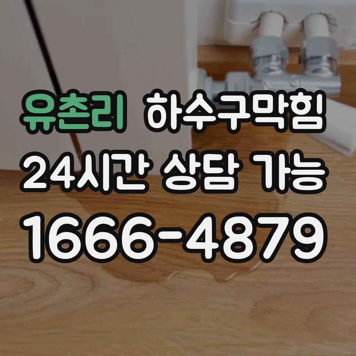 유촌리 하수구막힘